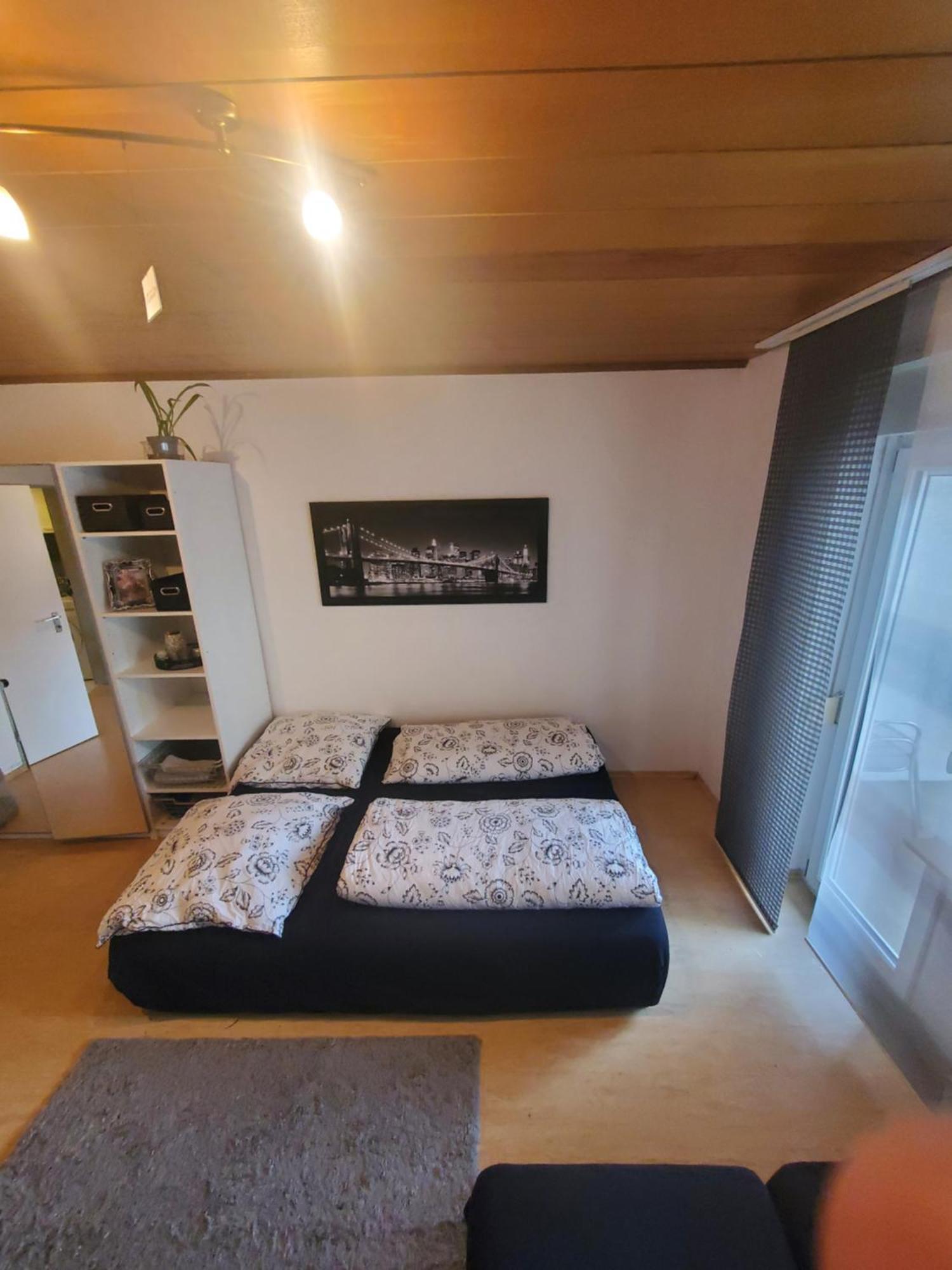 Einzimmerwohnungmit Grossem Balkon Mietersheim Eksteriør billede